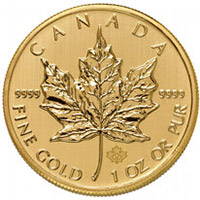 Canadian Gold Maples